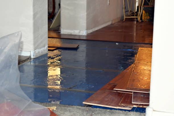 Professional Burst Pipe Cleanup technician working in Richmond, ME